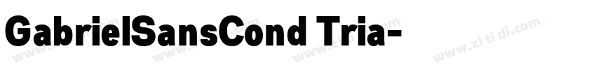 GabrielSansCond Tria字体转换 GabrielSansCond Tria字体转换